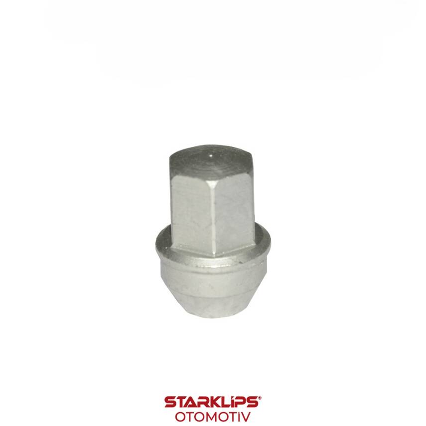 Bijon Somunu Ford Custom Dakromet SW21 - 1