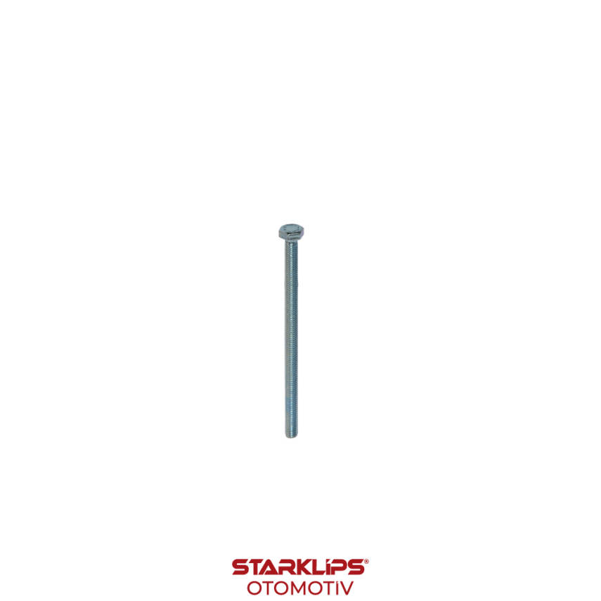 Civata Normal Beyaz M6X100 - 1