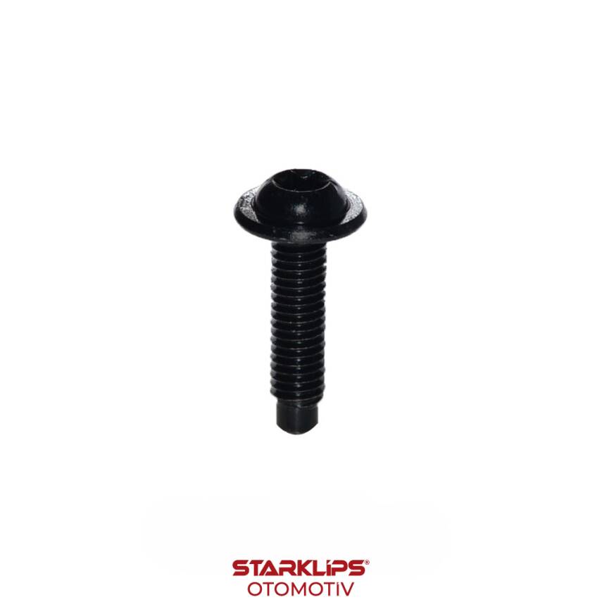 Civata Torx M6x30mm N91069901 VW Tiguan Audi Skoda - 1