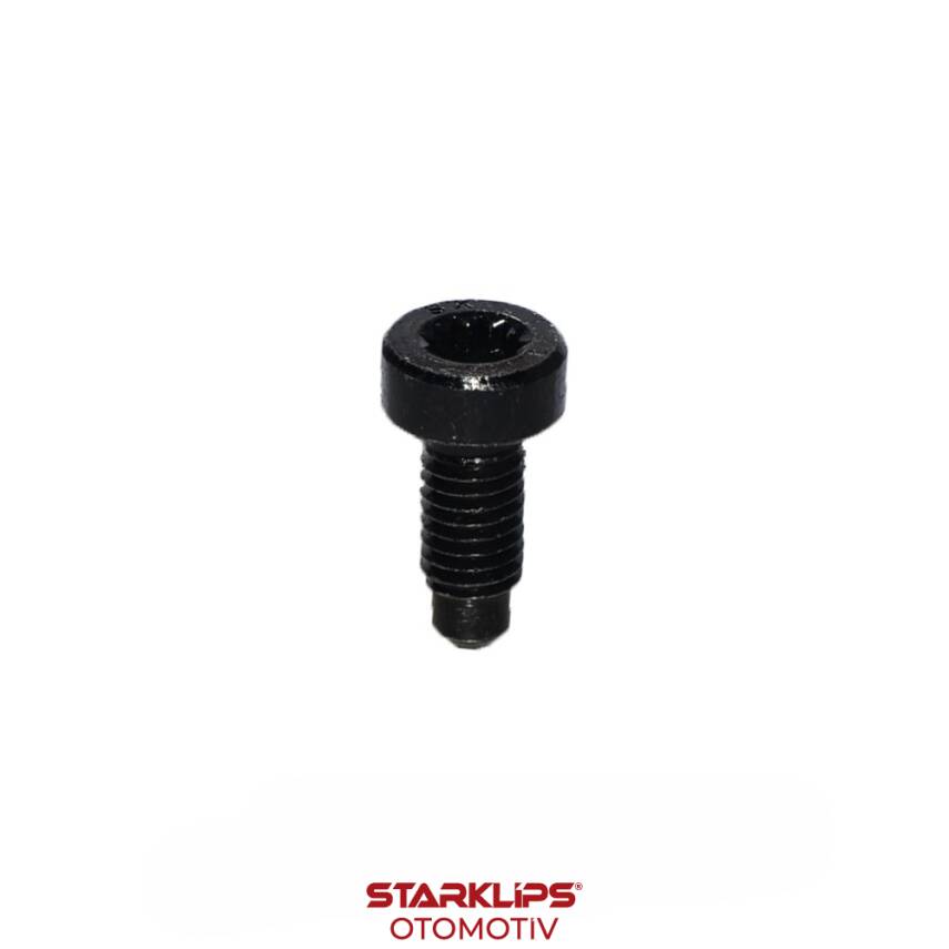 Civata Torx M8X14mm Bagaj Kapı N90931602 VW Seat VAG - 1