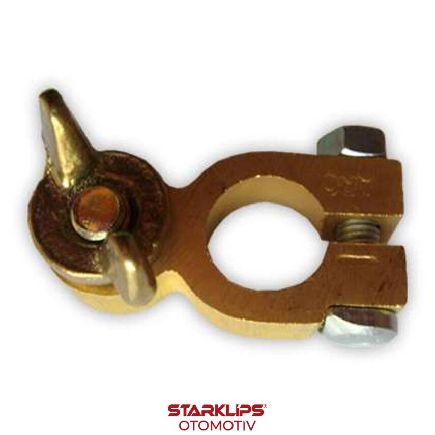 Kutup Başı Kelebekli Eksi - - 1