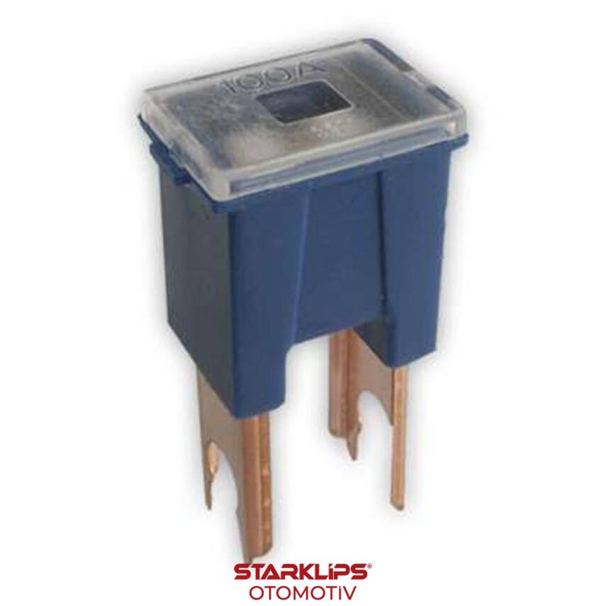 Sigorta Kutu Düz Ayak 100 Amper - 1