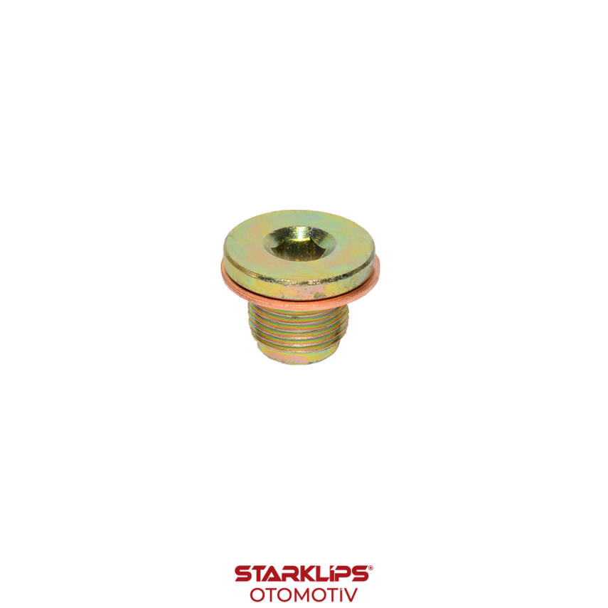 Tapa Karter M18x16mm 9 Allen 542493090 Fiat Palio Albea Doblo linea 1.3 - 1