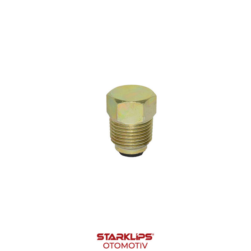 Tapa Şanzıman Mıknatıslı M18X25mm AA17 Renault R12 - 1