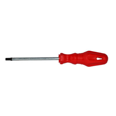 Tornavida Torx T10 - 
