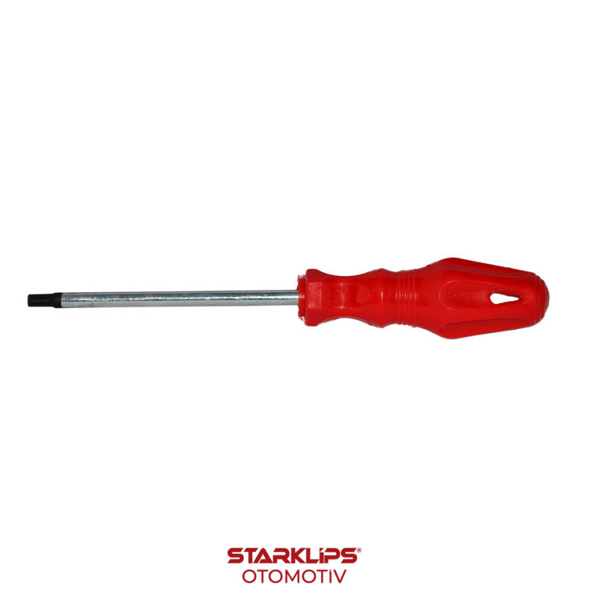 Tornavida Torx T25 - 1