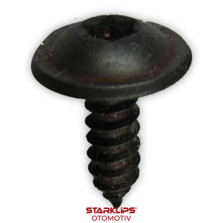 Vida Torx 4,2X13X12mm 6925W3 Peugeot Opel GM 2036817 11900469 PSA Renault - 1