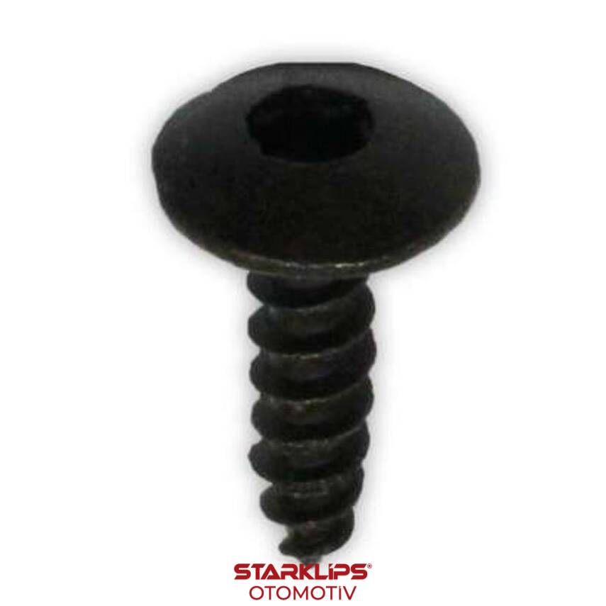 Vida Torx 6X24mm Peugeot - 1