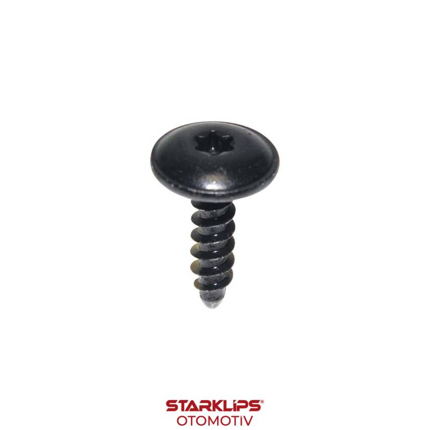 Vida Torx T20 5x20mm VW N90775801 BMW 07146963883 - 1